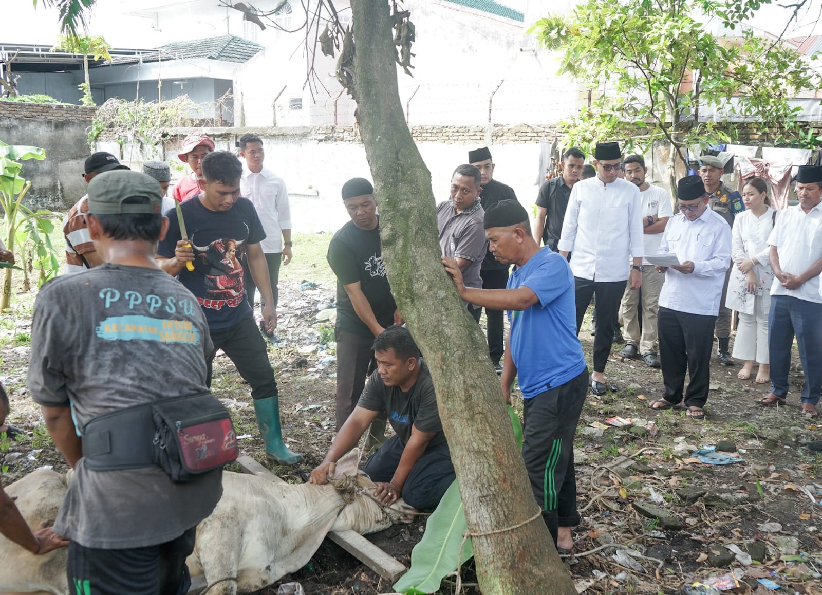 Wali Kota Medan Tega...